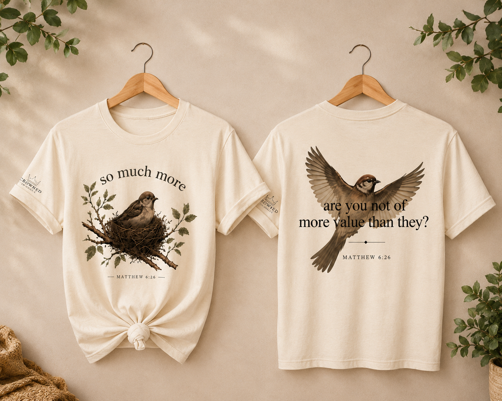 So Much More Matthew 6:26 Christian T-Shirt | Faith Based Graphic Tee | Bella Canvas 3001 Inspirational Shirt | Crowned by Grace